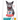 Concentrado Hills Science Diet Indoor Kitten