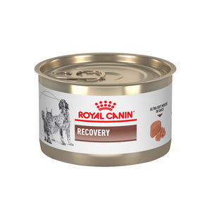 Alimento Húmedo Recovery Royal Canin