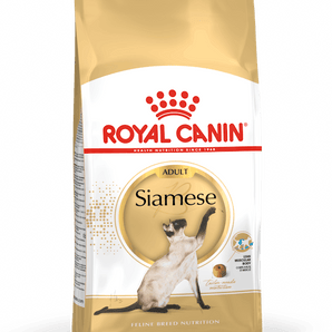 Royal Canin adult siamese