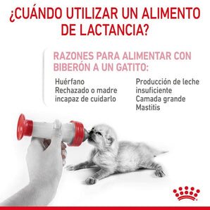 Babycat Milk Royal Canin Gato