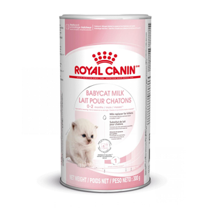 Babycat Milk Royal Canin Gato