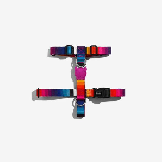 ZEEDOG PRISMA H-HARNESS